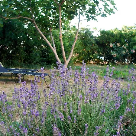 Lokunja Bed&breakfast 2* Паг