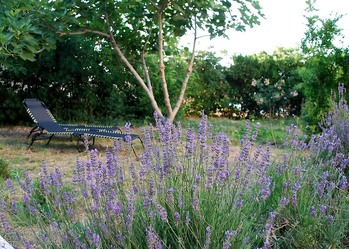 Lokunja Bed&breakfast 2* Pag Town